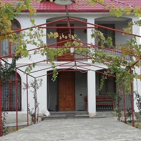 Villa "Zepuri" Dushet'i Exterior foto