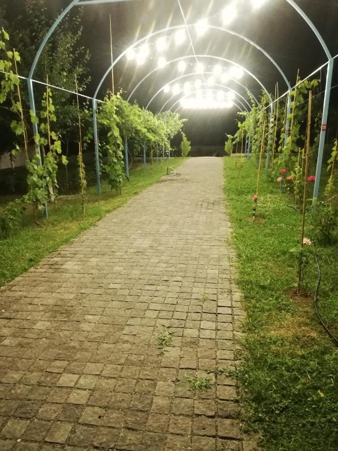 Villa "Zepuri" Dushet'i Exterior foto