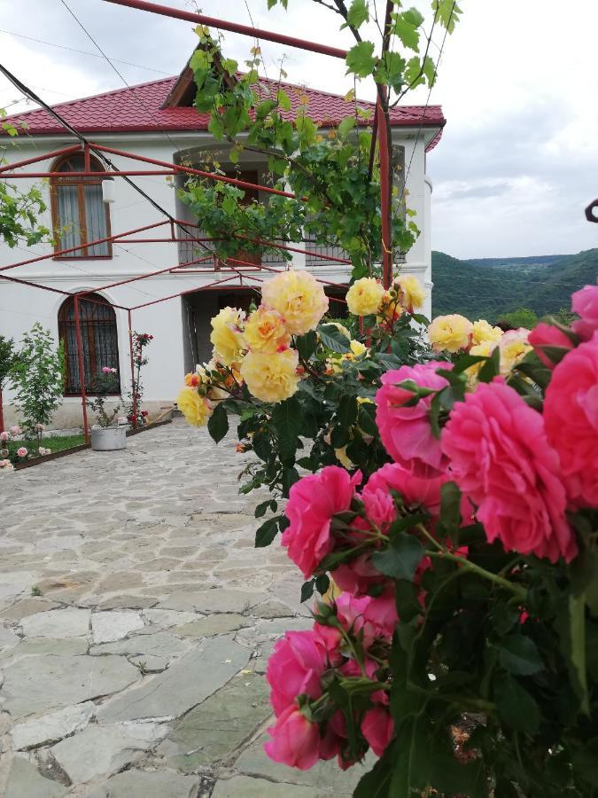 Villa "Zepuri" Dushet'i Exterior foto
